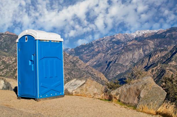 Best Sanitation services for porta potties  in Germantown Hls, IL
